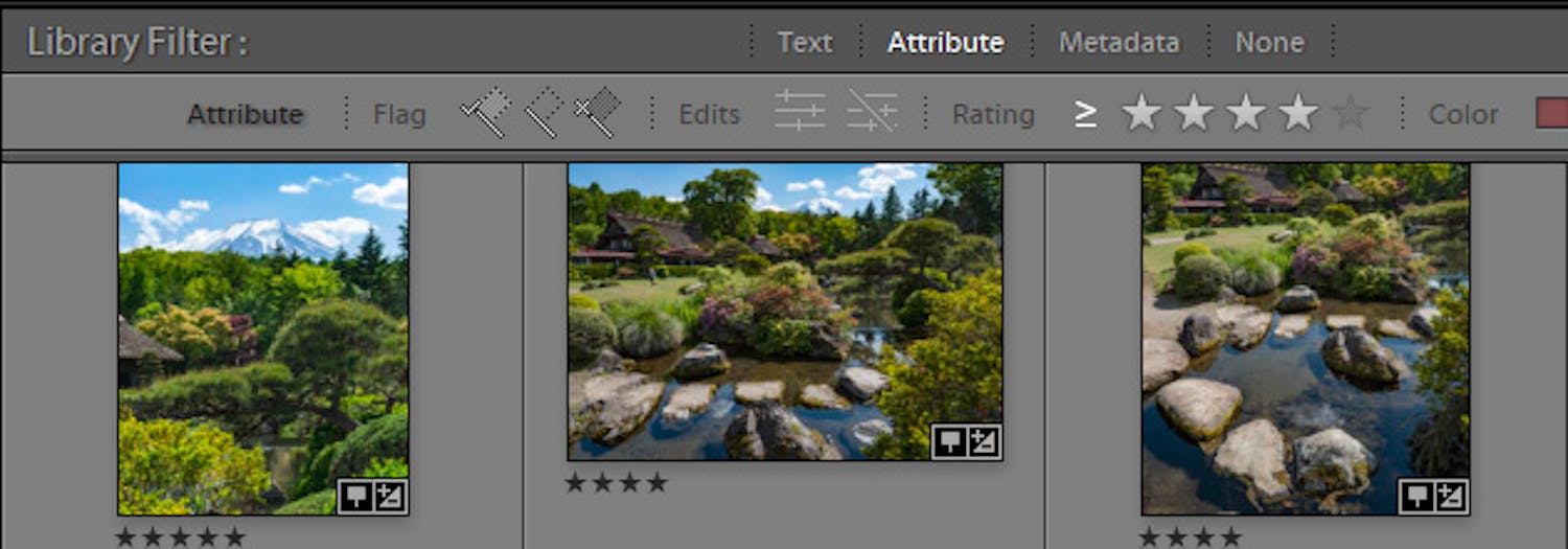 library filter Library Filter i Lightroom